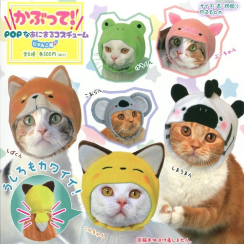 pop  동물캐릭터 고양이모자 캡슐 가챠 단품