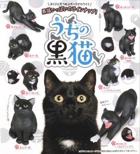 검은고양이 가챠캡슐 8종세트
