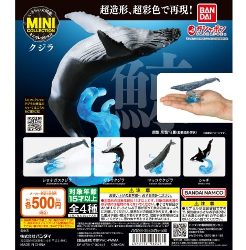 생물대도감 미니컬렉션 고래 가챠캡슐 4종세트