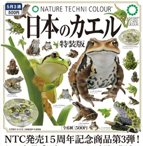 5월예약판매 네이처테크니칼라 개구리 특장판 가챠캡슐 6종세트