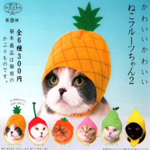 귀여운 과일모양 고양이모자2 가챠캡슐 6종세트