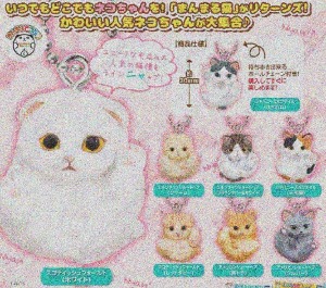 9월예약판매 만마루 고양이 마스코트 가챠캡슐 8종세트