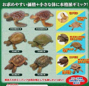 12월예약판매 거북이 가챠캡슐 6종세트