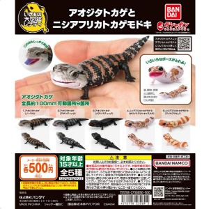 5월예약판매 생물대도감 랩티아오지타 도마뱀과 니시아프리카도마뱀 가챠캡슐 5종세트