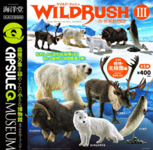 WILD RUSH 세계의 동물 3탄 북극편 캡슐가챠 랜덤