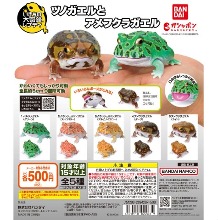 생물대도감 개구리 가챠캡슐 5종세트