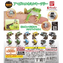 6월예약판매 생물대도감 손가락피규어 개구리 가챠캡슐 6종세트
